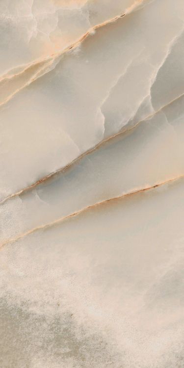 Reves Noisette Matte 12 x 24